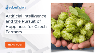 Artificial Intelligence and the Pursuit of Hoppiness for Czech Farmers