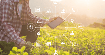 AI in Agriculture: How Scaling Data Labeling Keeps Agronomists in the Field