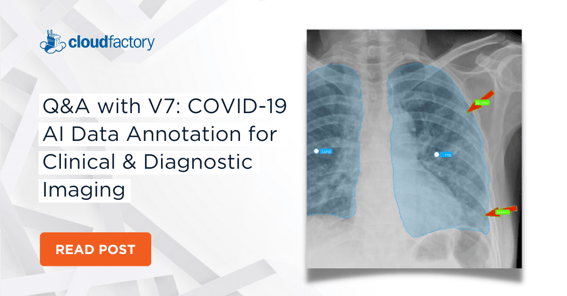 Q&A with V7: COVID-19 AI Data Annotation for Clinical & Diagnostic Imaging